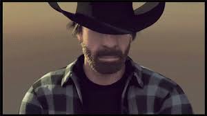 Carlos vs Chuck Norris Review